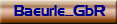 Baeurle_GbR