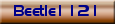 Beetle1121