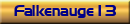 Falkenauge13