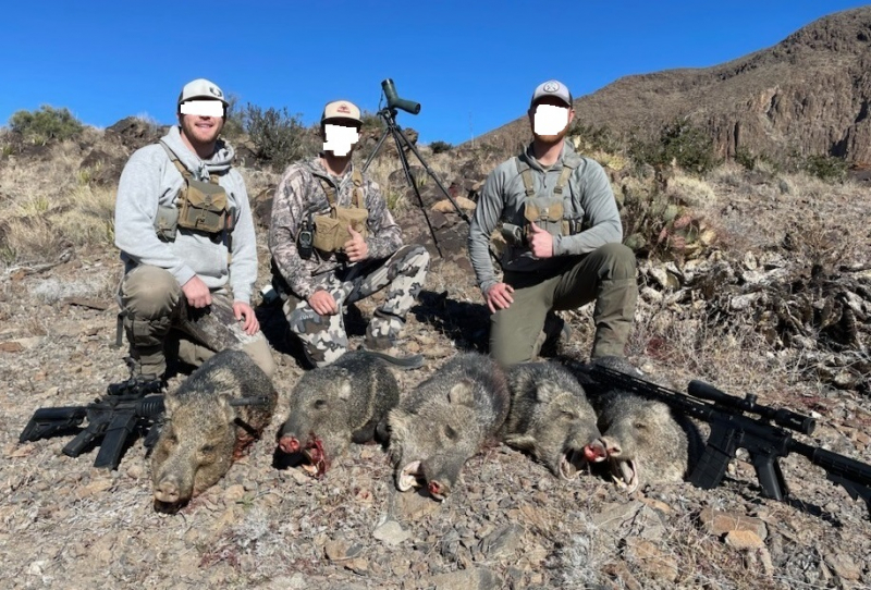 Kombo-Jagd auf Auodad und Pekari-Jagd in Texas! – Bild 2