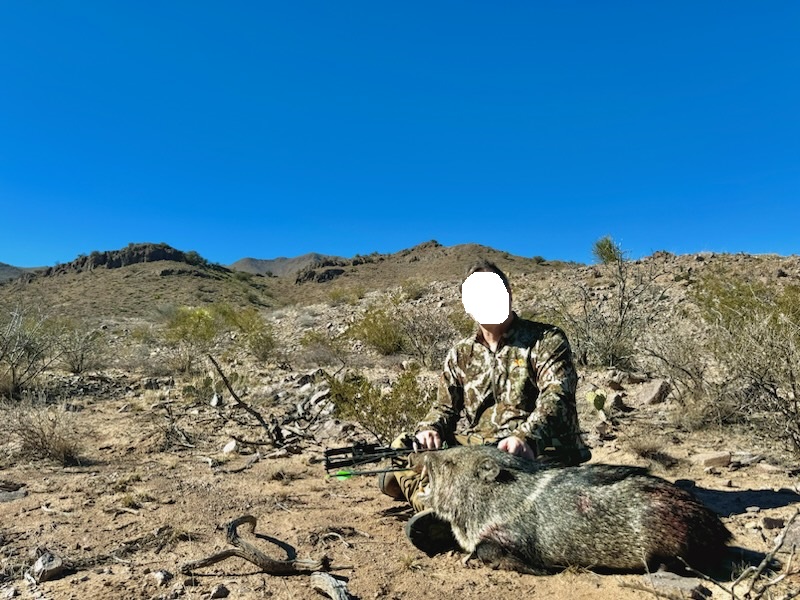 Kombo-Jagd auf Auodad und Pekari-Jagd in Texas! – Bild 4
