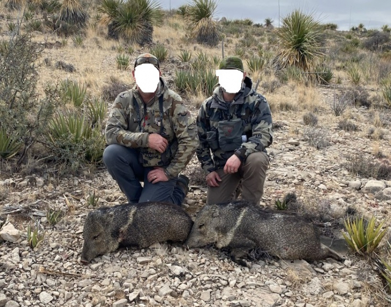 Kombo-Jagd auf Auodad und Pekari-Jagd in Texas! – Bild 6