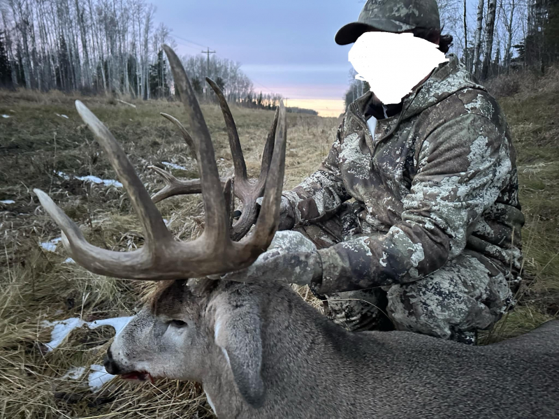 Auf sehr kapitale Weisswedelhirsche in Alberta waidwerken – Bild 3