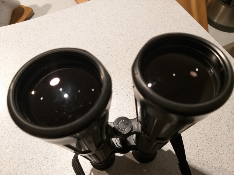 Carl Zeiss 8x56 B – Der Klassiker für den Ansitz – Guter Zustand aus Nachlass – Bild 6