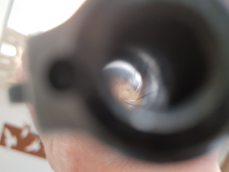 Ruger GP100 6" .357 Mag Rink Griff – stampa 3