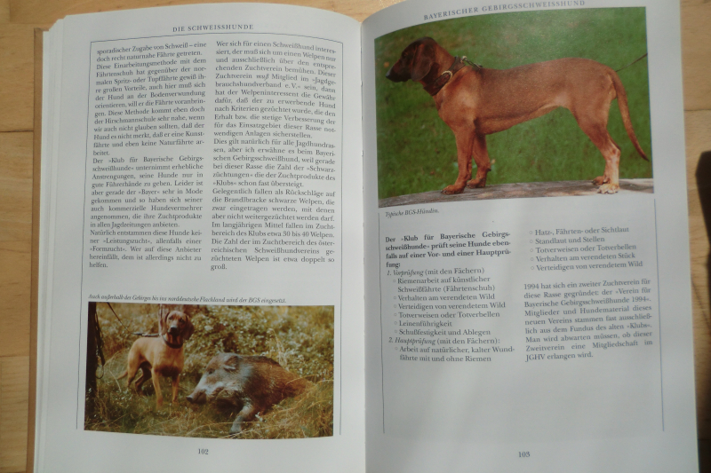 JAGDHUNDE IN DEUTSCHLAND – Bild 2