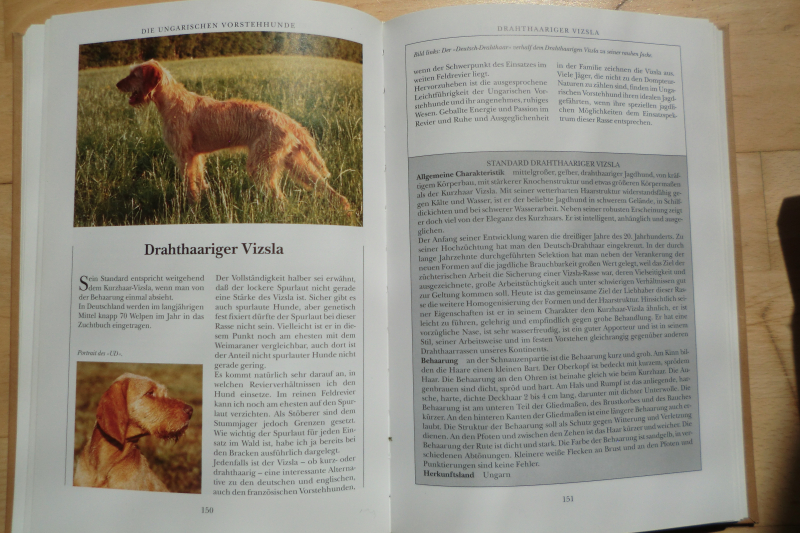 JAGDHUNDE IN DEUTSCHLAND – Bild 3