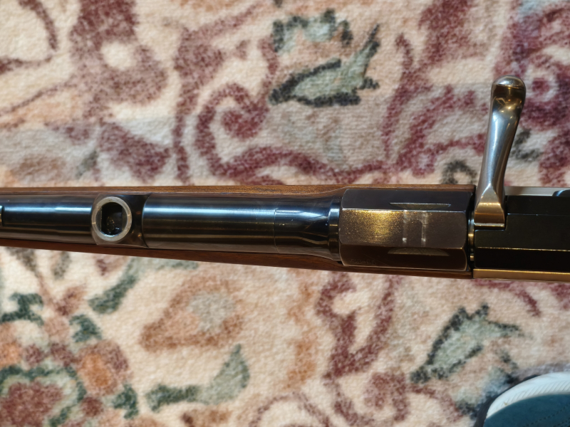 Blaser SR 830 in 30-06 EAW-Schwenkmontage – Bild 4