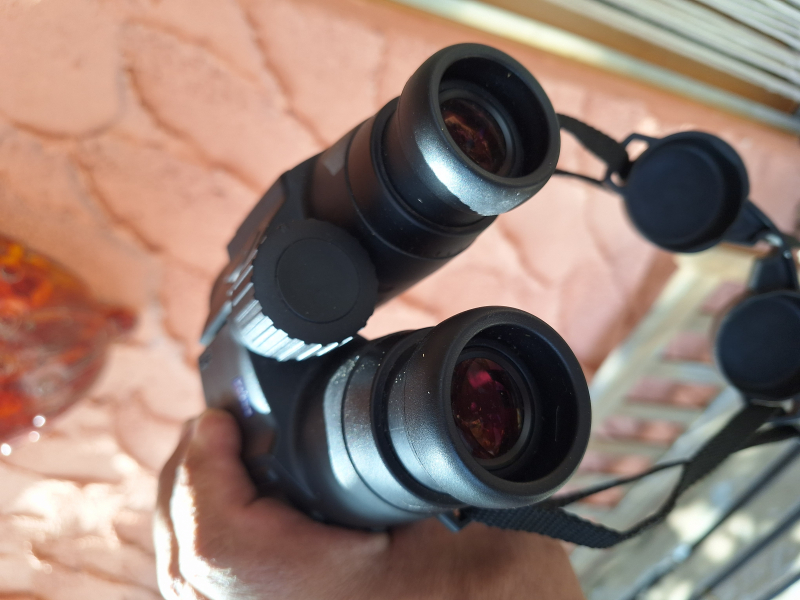 Zeiss Victory 10x56 T* RF Fernglas – Bild 2