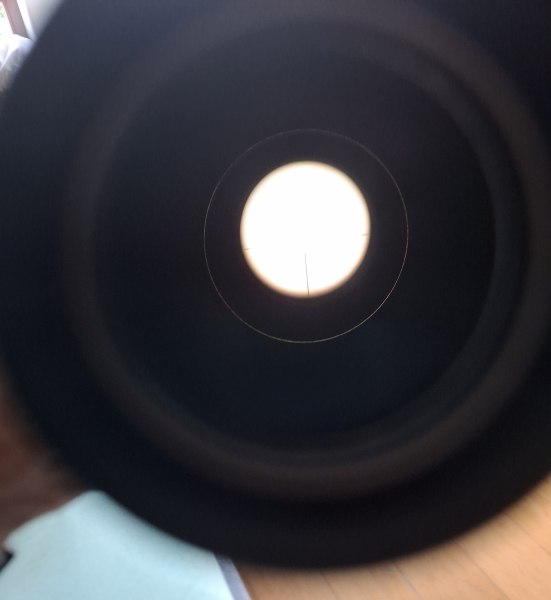 SCHMIDT & BENDER ZENITH 2,5-10x56 mit LP mit Blaser Schwenkmontage – stampa 5