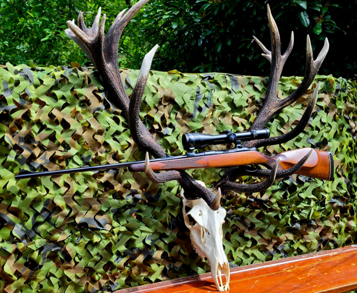 Sauer 80 im Kal. 7 x 64 – imagem 2