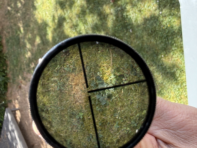 Carl Zeiss Diasta 4x32 mit originaler Suhler Klauenmontage – Klassiker – Bild 3