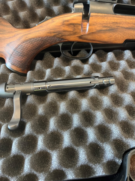 Steyr SM 12 KAl. 308 Holzschaft HAUSKEN JD 184 Rusan Montage – Bild 6
