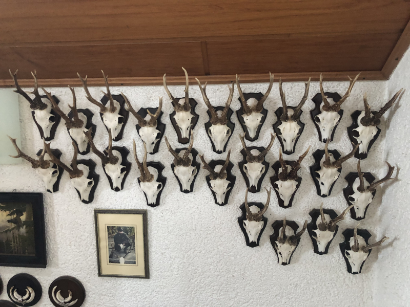 Trophäensammlung – kuva 6