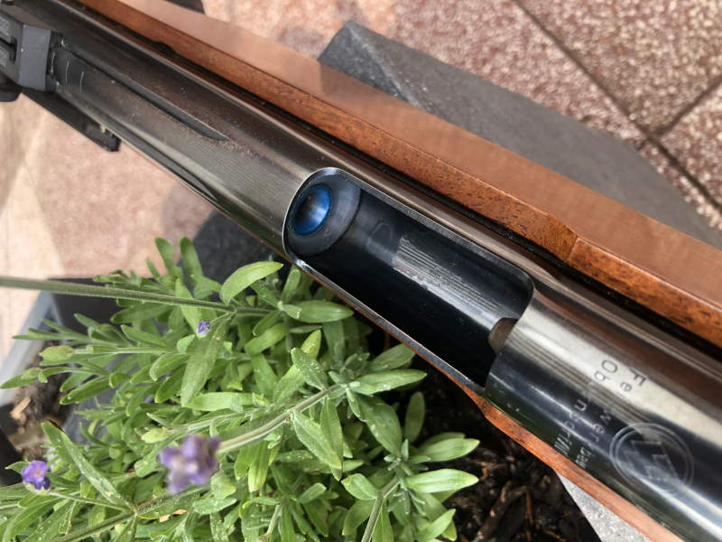 Feinwerkbau Match LG 300S – immagine 6
