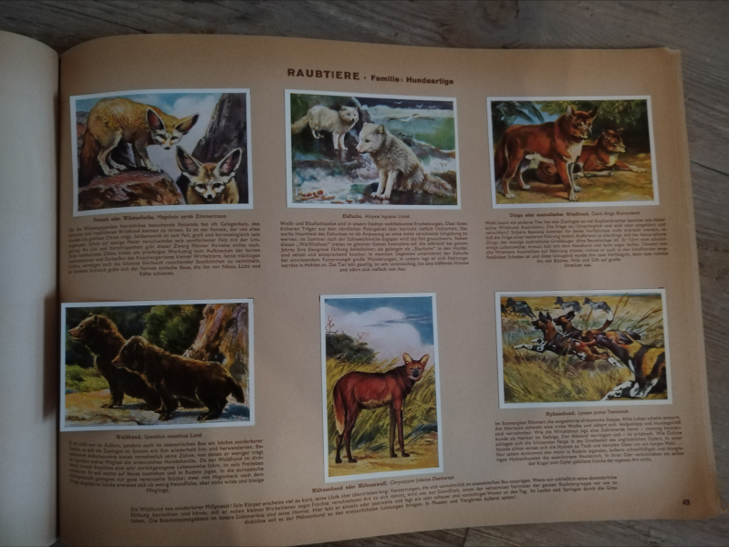 Wunder der Tierwelt 1933 – Bild 3