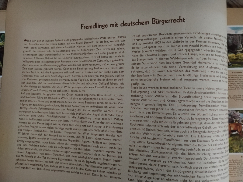 Wunder der Tierwelt 1933 – Bild 5