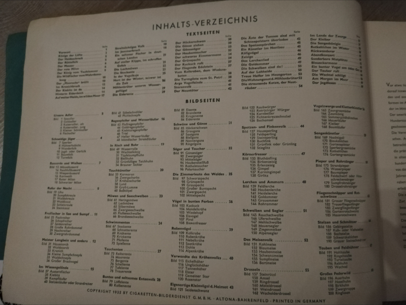 Aus Deutschlands Vogelwelt 1932 – Bild 2