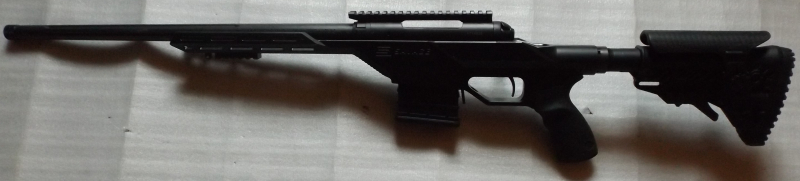 Savage 10 BA Stealth – Bild 1