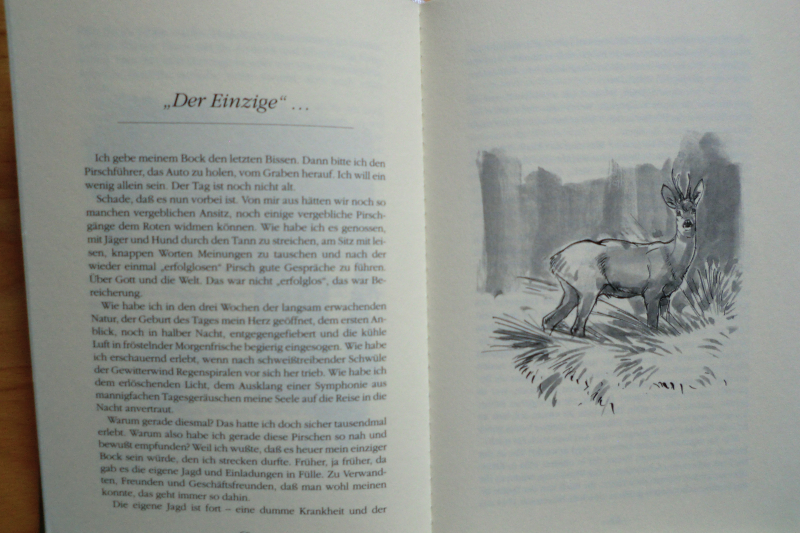 AUF SCHMALEM JÄGERSTEIG – Bild 2