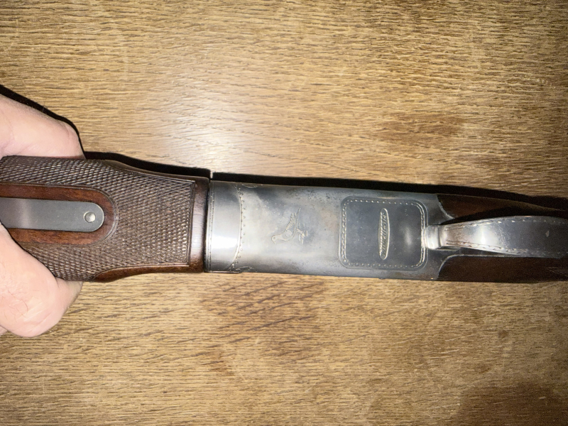 Winchester 101 Pigeon Grade – imagen 3