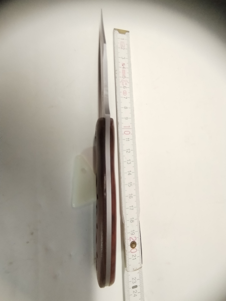 Messer von Haller – stampa 2