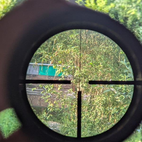 Zielfernrohr – Drückjagdglas Leupold 1-4 x 20 – Bild 3