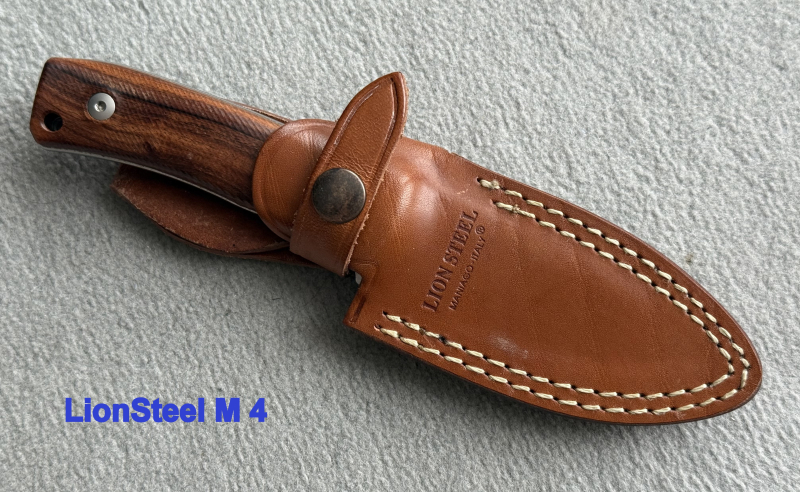LionSteel M4 Santos – Bild 3
