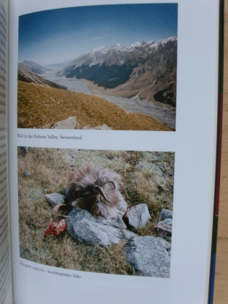 IN FERNEN JAGDGRÜNDEN – imagen 3