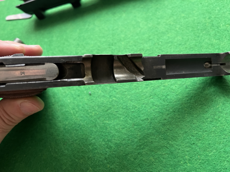 Steyr Hahn M12 – stampa 4