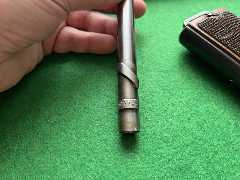 Steyr Hahn M12 – stampa 5