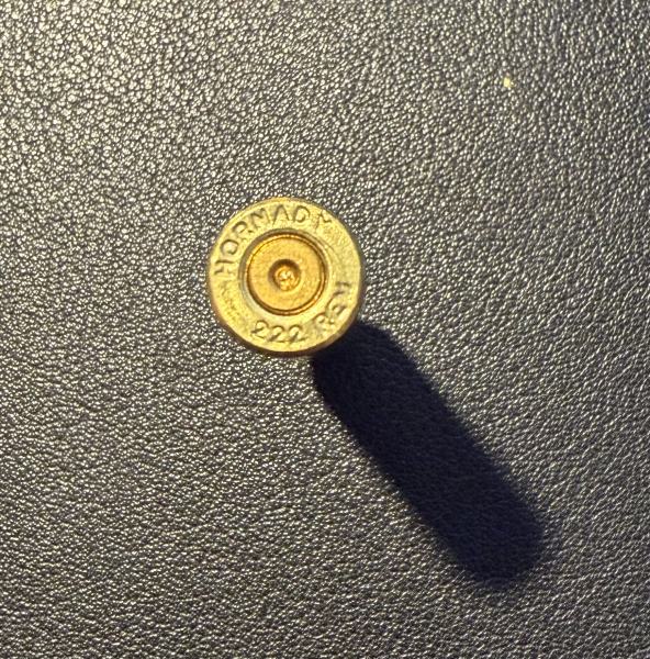 53x HORNADY .222 REM Hülsen – Bild 2