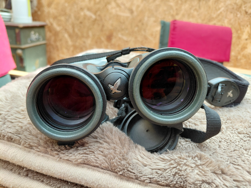 Svarowski EL 8,5x42 SV – stampa 6