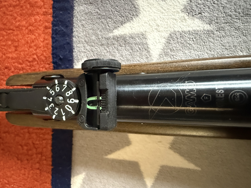Gamo Luftgewehr Forest – Bild 2