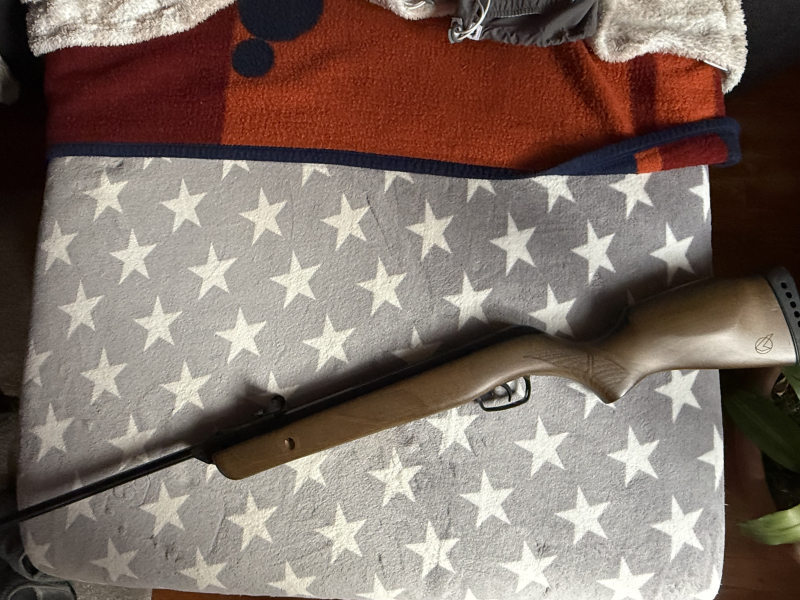 Gamo Luftgewehr Forest – Bild 6