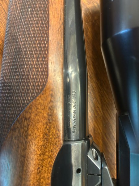 Sauer 202 im Cal. 300 Weatherby Magnum – Bild 3