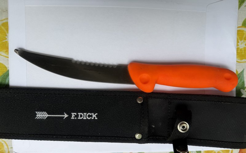 Gekrösemesser von F. Dick – Bild 3