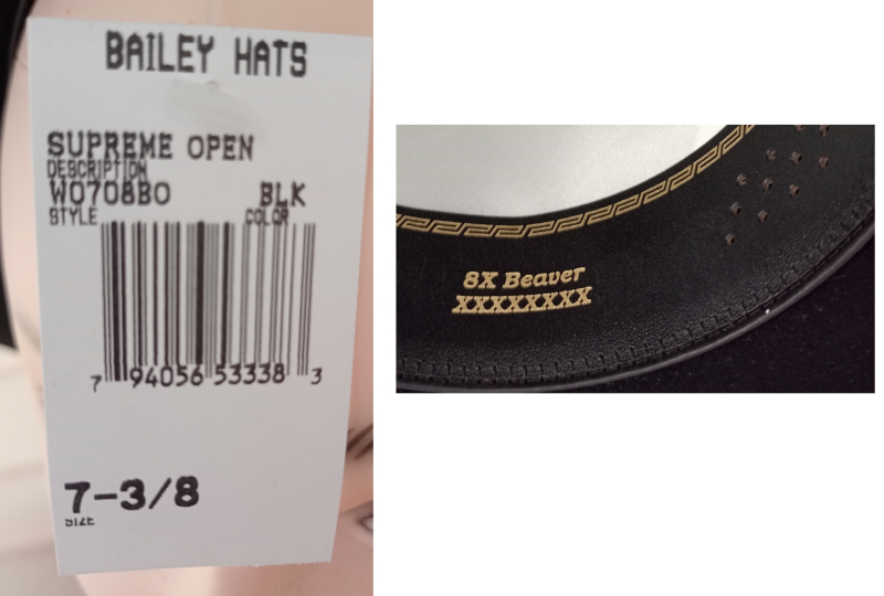 Open Crown Hut (8X Beaver) – billede 2
