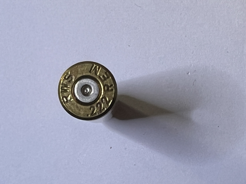 .222 Rem 130 RWS Hülsen – Bild 2