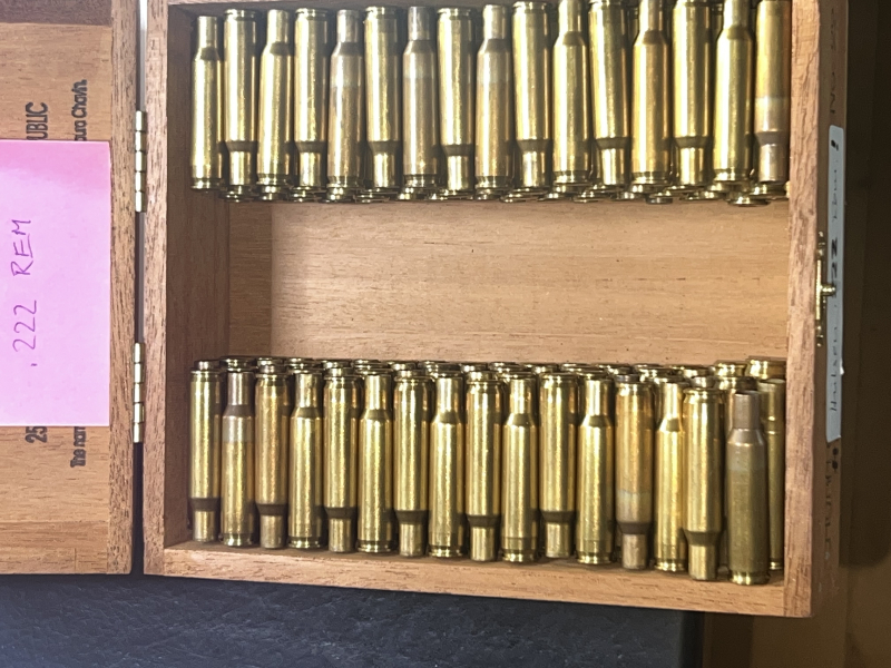 .222 Rem 130 RWS Hülsen – Bild 1