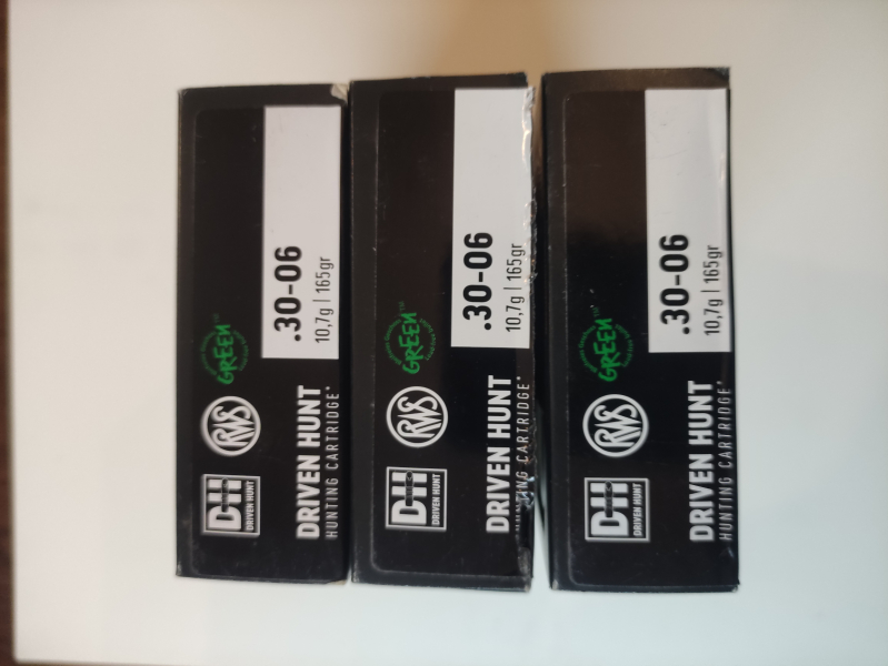 RWS Driven Hunt .30-06 10,7g / 165 grs – Bild 2