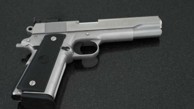 Para-Ordnance P14-45 Stainless, .45 ACP, 2 Magazine – Bild 6