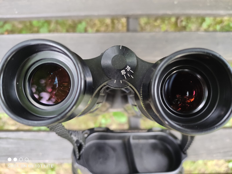 Fernglas Zeiss Dialyt 8x56 B – Bild 3