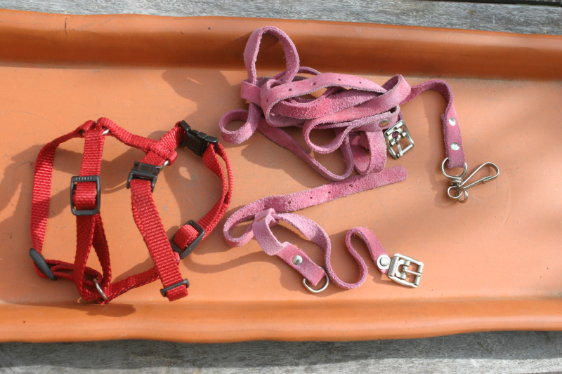 Für kleinen Hund Geschirr Halsband und Leine – Bild 1