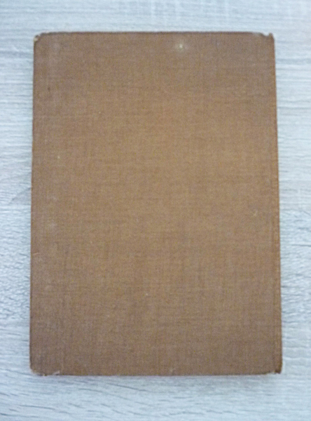 Altes HJ Buch Kampf um Deutschland 1938 – Bild 3