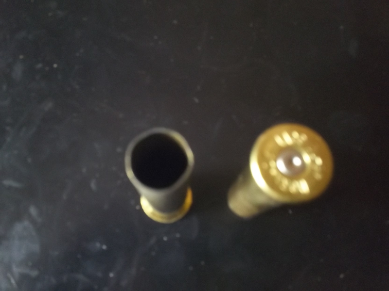 Hornady-Hülsen in 45/70 – Bild 2