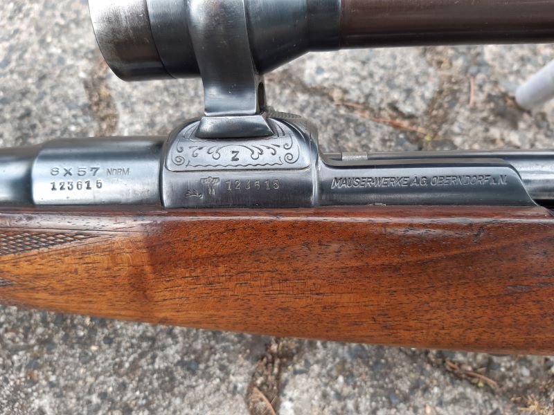 Oberndorfer Zivilmauser im Kaliber 8x57 I – Bild 3