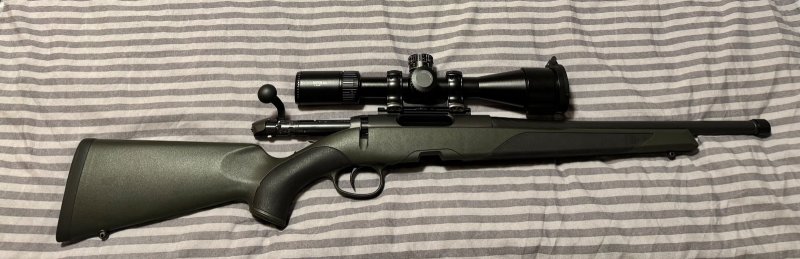 Steyr sm12 308 – immagine 2