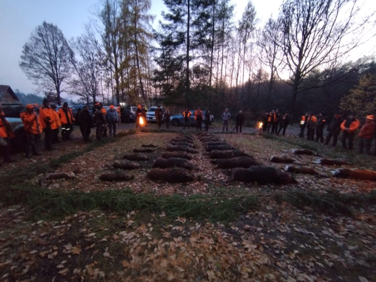 ZWEITÄGIGEN DRÜCKJAGD IN DER TSCHECHIEN - LETZTE 12 PLÄTZE – Bild 1