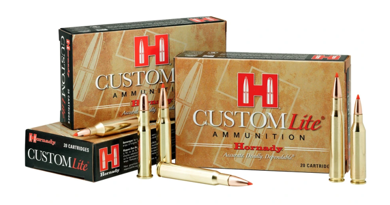 .223 Rem. Vollmantel BT 55.grs Sellier & Bellot – Bild 2